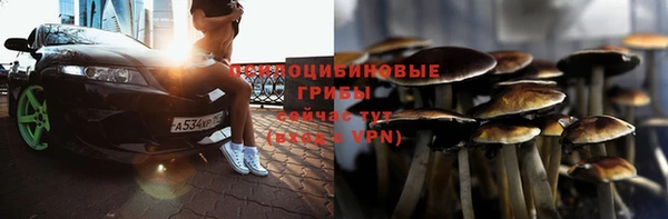 тгк Алексеевка