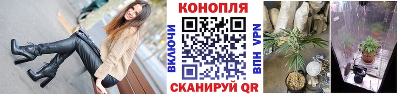 Шишки марихуана гибрид  Тырныауз 